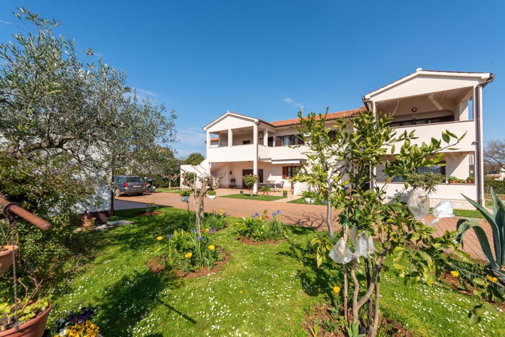 Apartment Marchela Nova Vas  Exterior foto